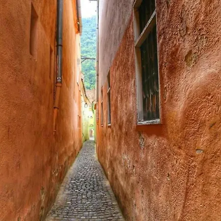 Daire Antralux Braşov