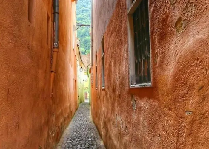 Lejlighed Antralux Braşov